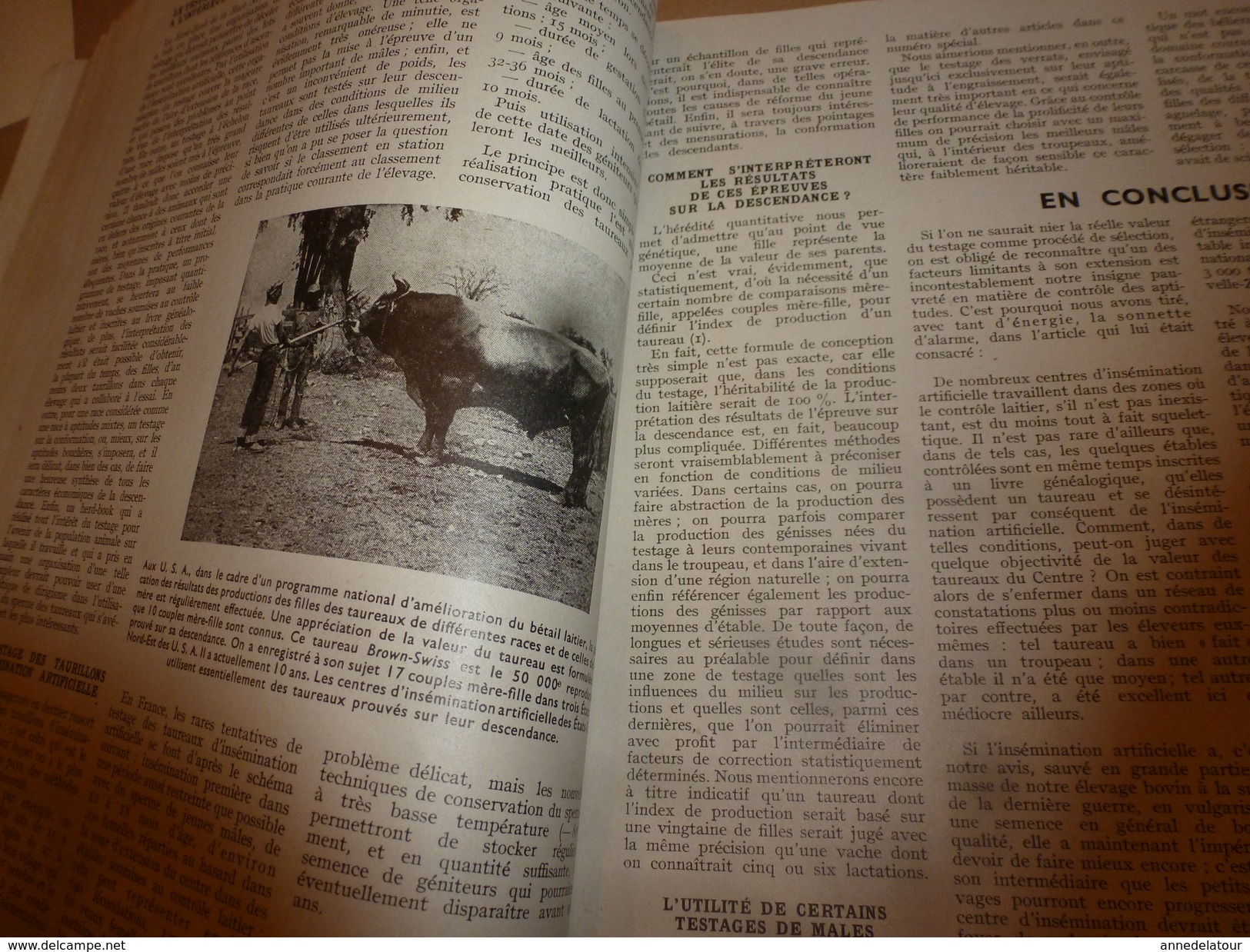 1955 N° SPECIAL De La Revue de L'Elevage BETAIL & BASSE-COUR--->CHOIX et UTILSATION des REPRODUCTEURS ; etc