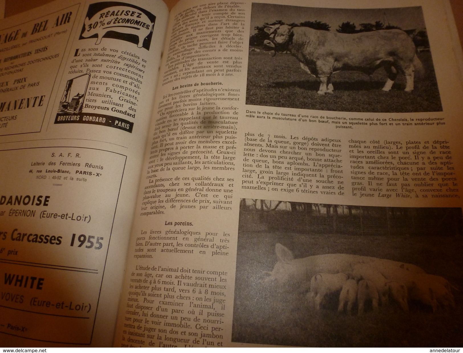 1955 N° SPECIAL De La Revue de L'Elevage BETAIL & BASSE-COUR--->CHOIX et UTILSATION des REPRODUCTEURS ; etc