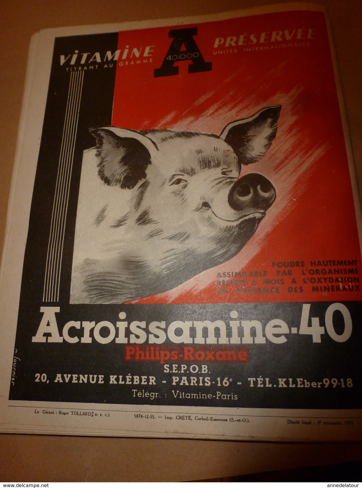1955 N° SPECIAL De La Revue de L'Elevage BETAIL & BASSE-COUR--->CHOIX et UTILSATION des REPRODUCTEURS ; etc