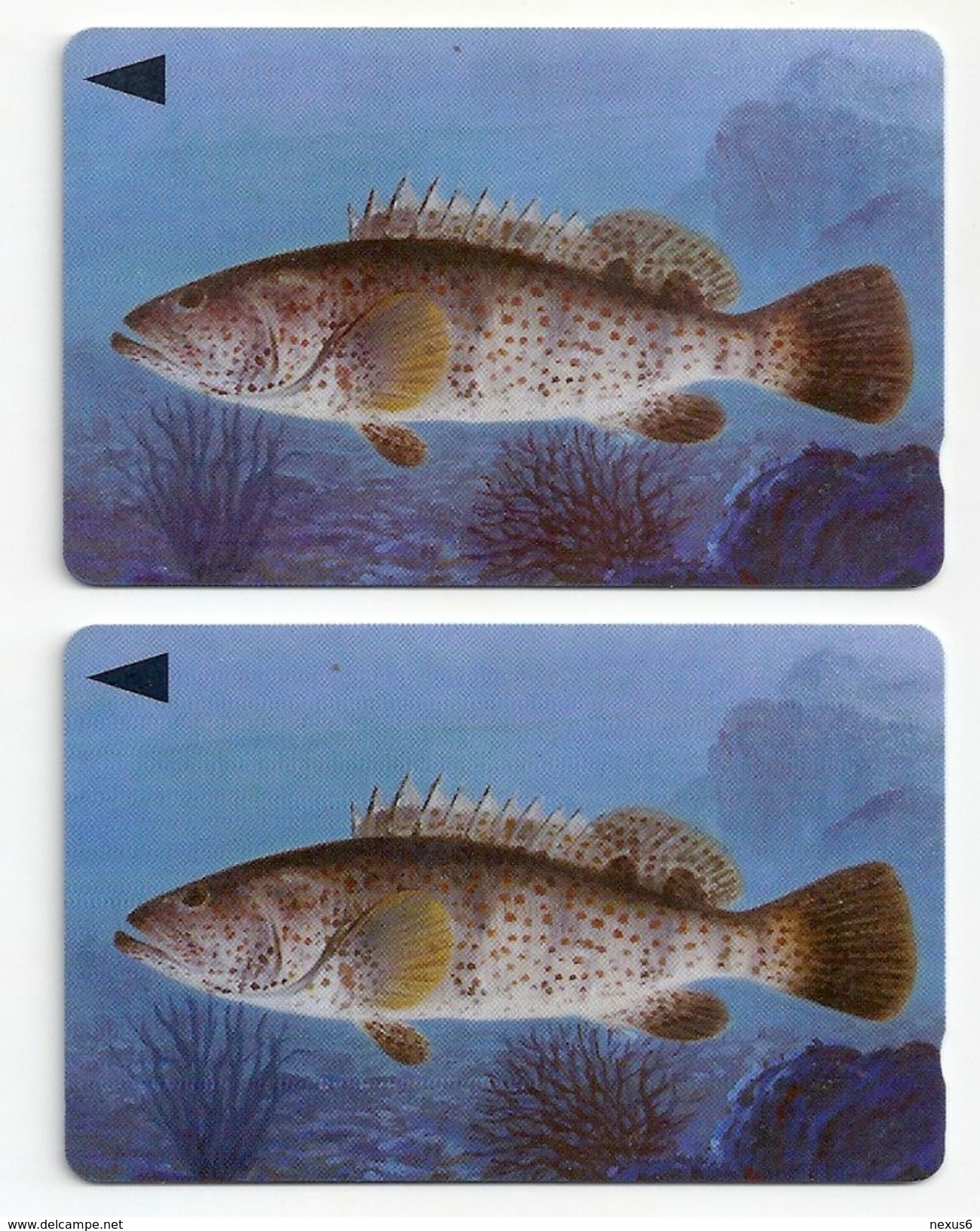 Bahrain - Grouper Fish Of Bahrain - 39BAHS (Different Serials - Probably (O-Ø);; 1996, Used - Bahrain