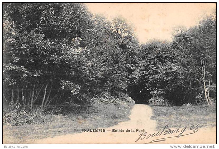 Phalempin     59     Entrée De La Forêt         (voir Scan) - Sonstige & Ohne Zuordnung