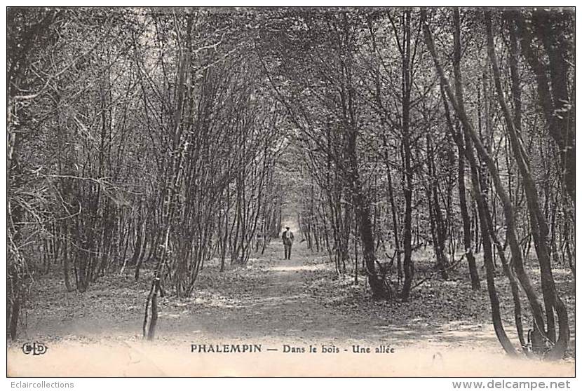 Phalempin     59      Dans Le Bois         (voir Scan) - Andere & Zonder Classificatie