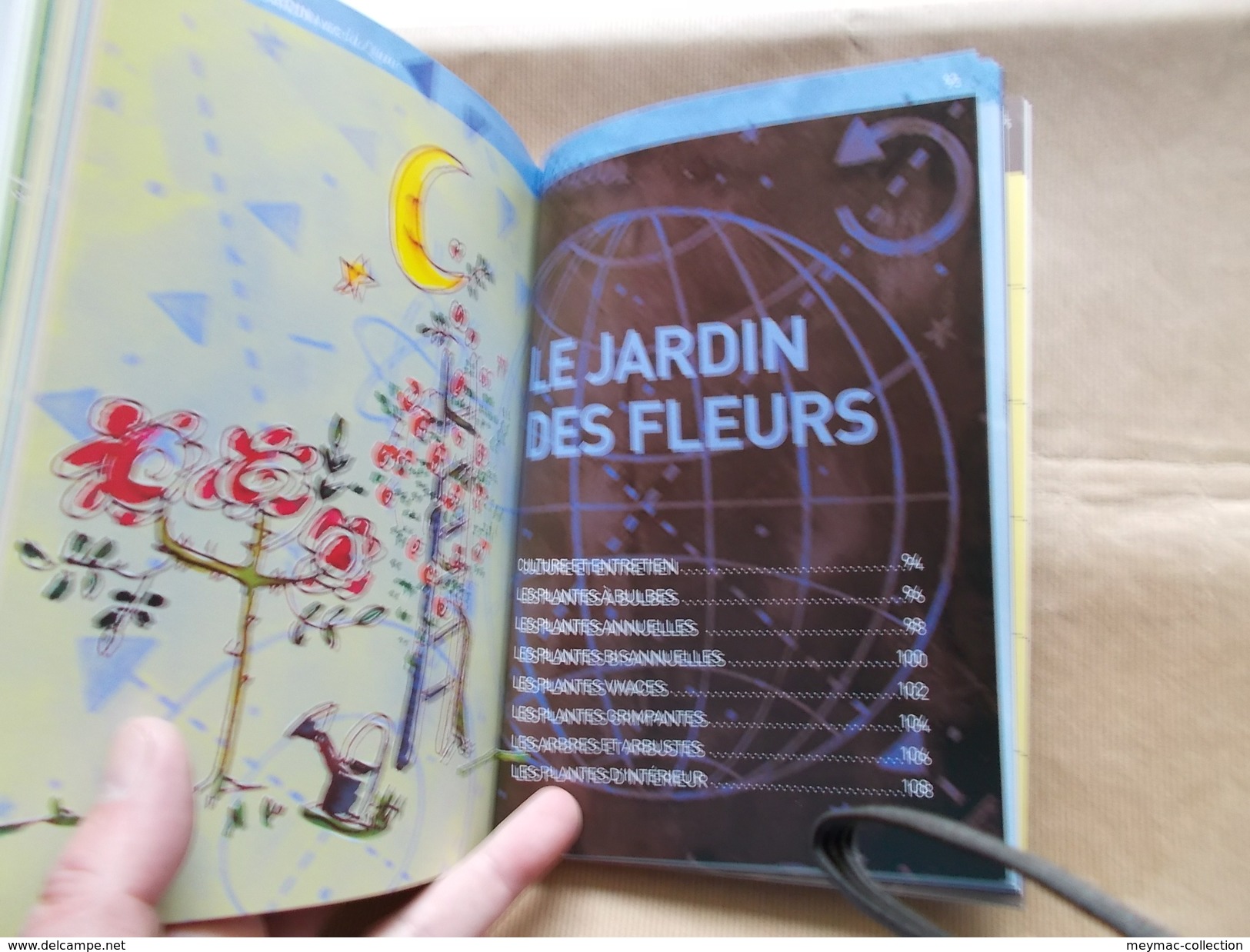 GUIDE DU CIEL C.A. RONAN + JARDIN AVEC LA LUNE M. VIARD