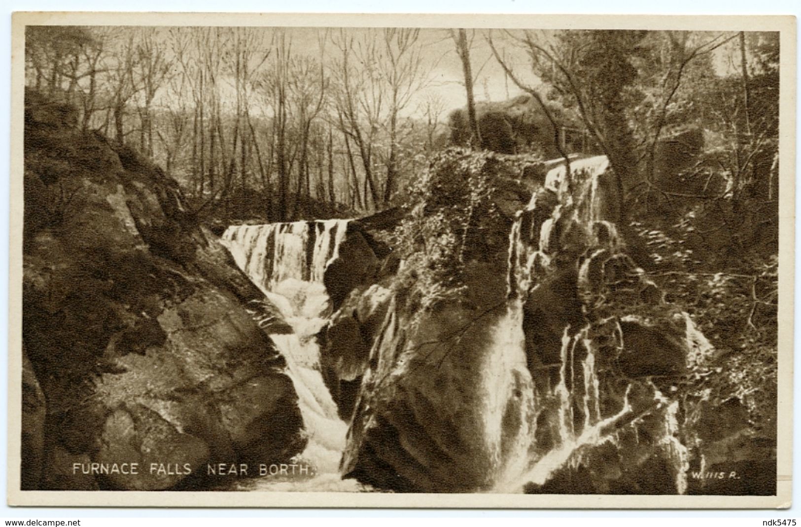 BORTH : FURNACE FALLS - Cardiganshire