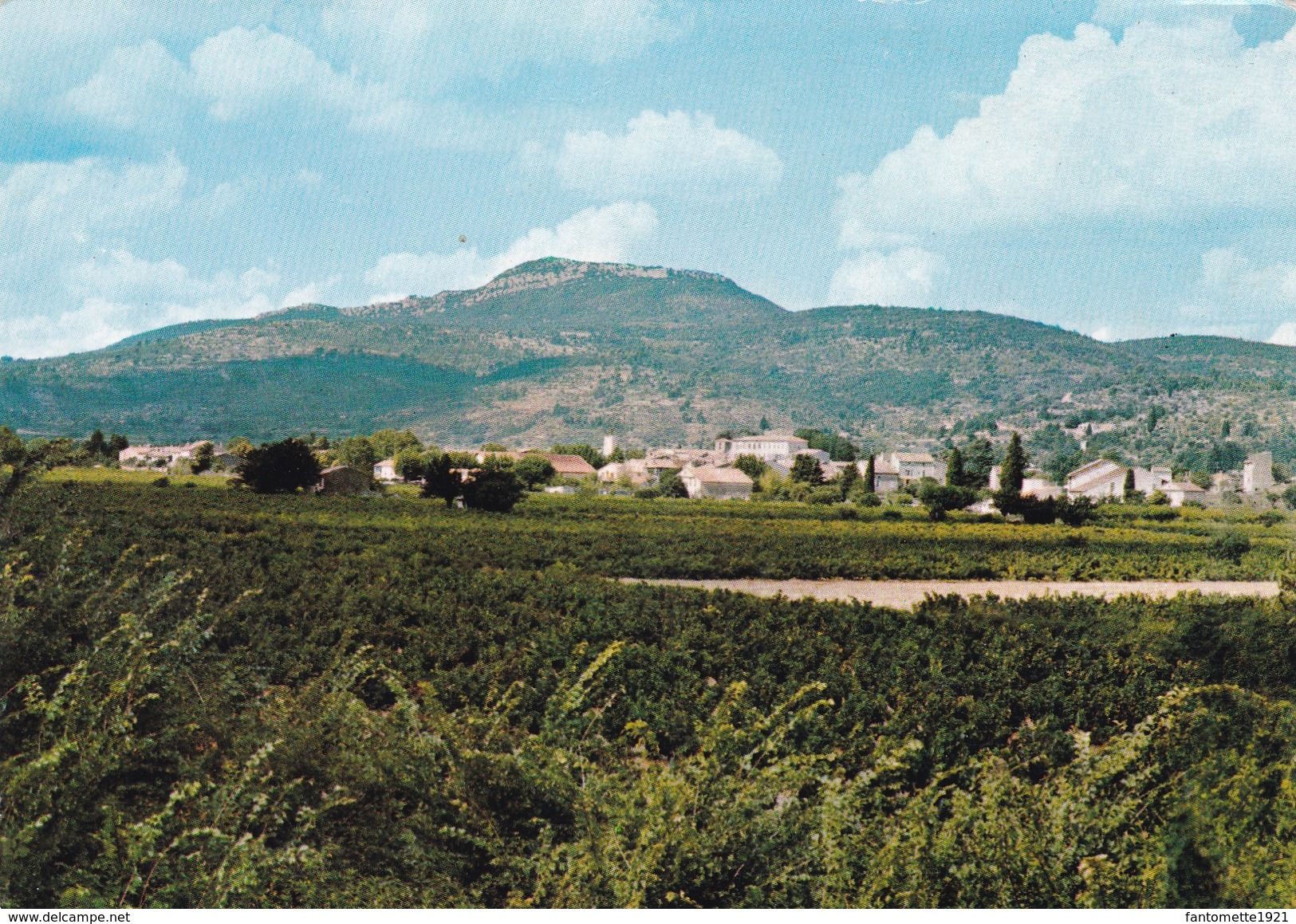 BESSE SUR ISSOLE VUE GENERALE (dil244) - Besse-sur-Issole