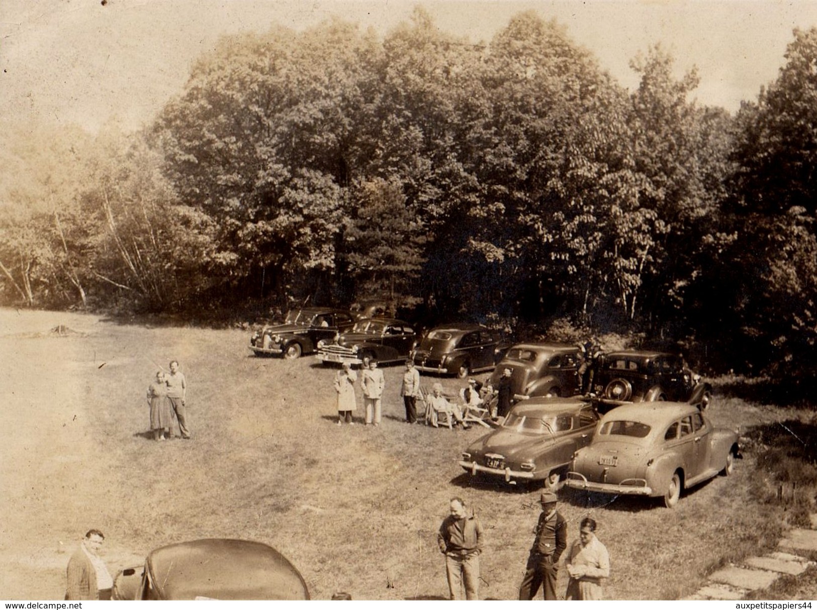 Photo Originale USA - Rassemblement De Voitures Américaines 50's Dans Un Champ, Prêtes Pour Le Run & Animation Familiale - Automobiles