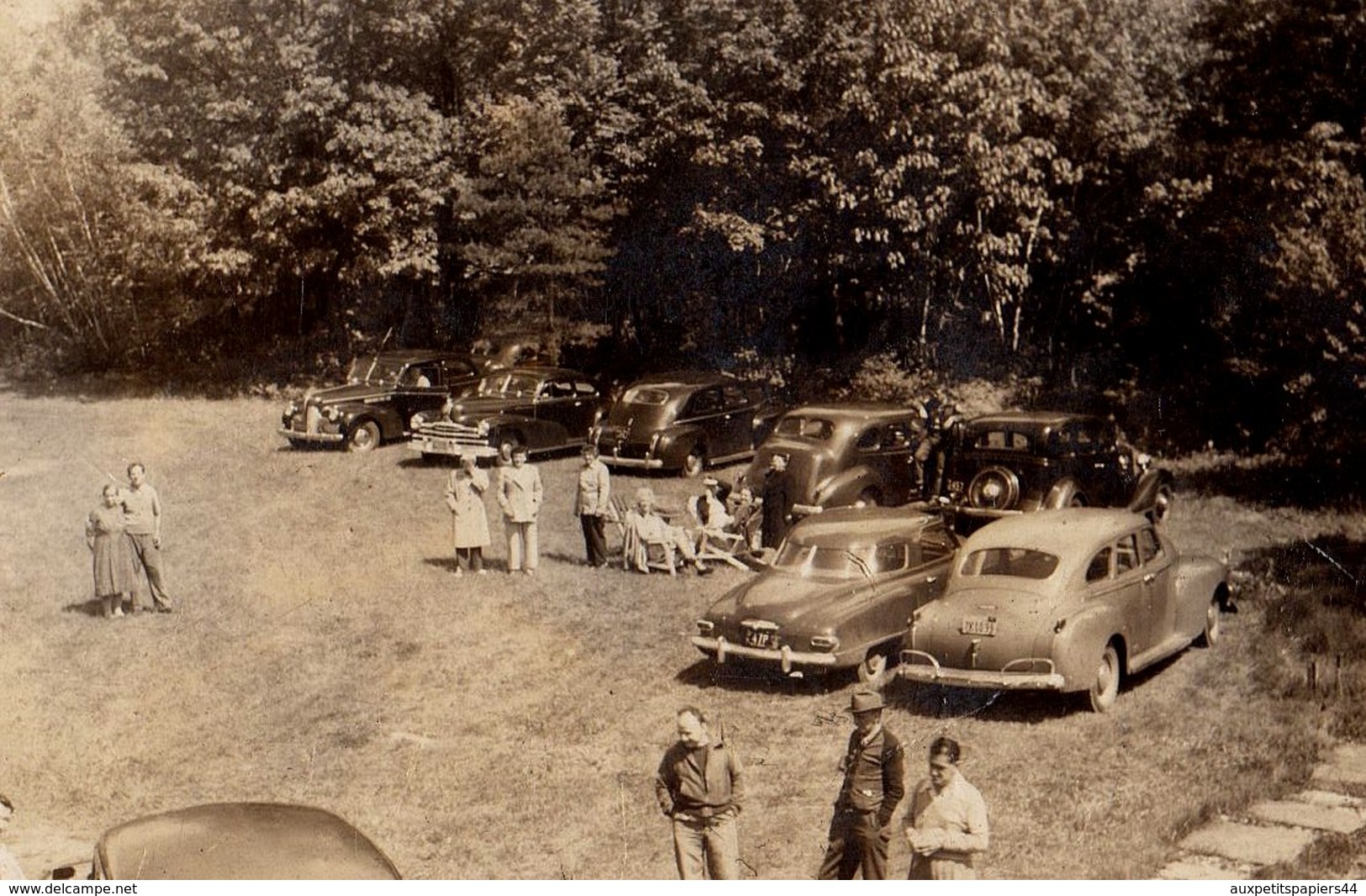 Photo Originale USA - Rassemblement De Voitures Américaines 50's Dans Un Champ, Prêtes Pour Le Run & Animation Familiale - Automobiles