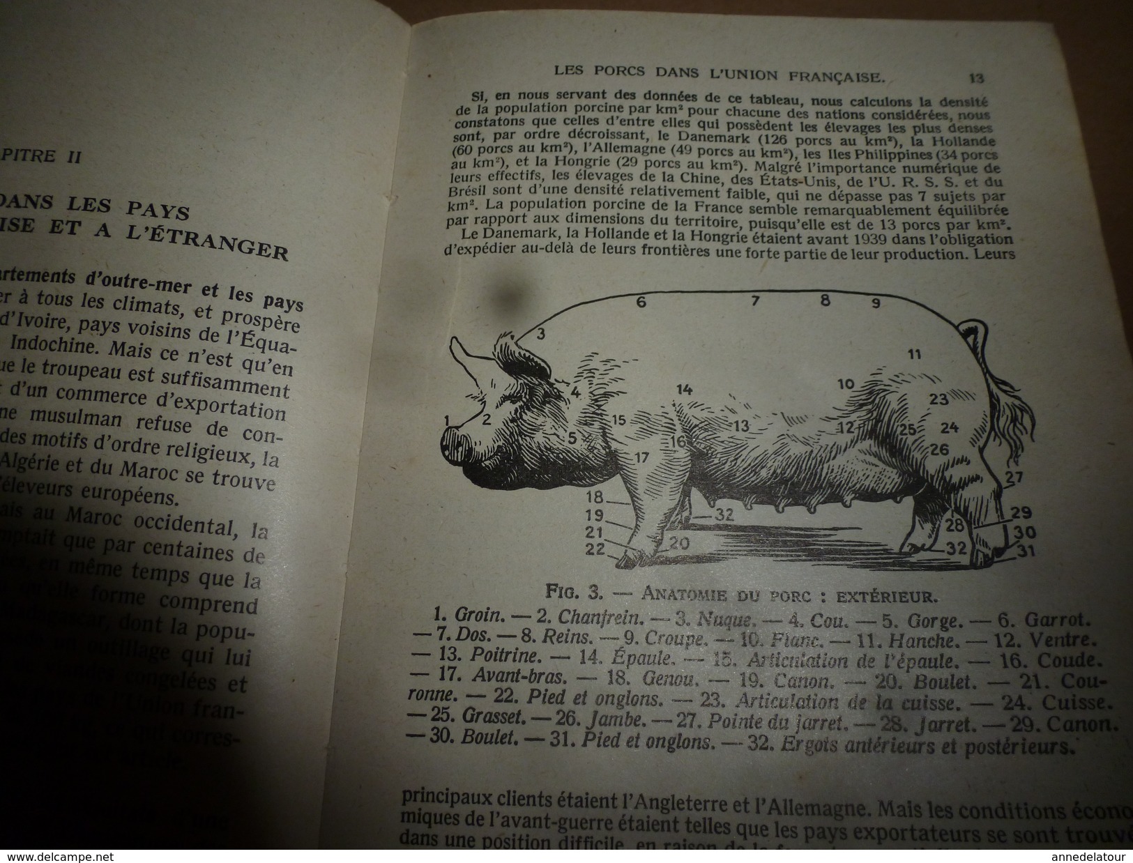 1937 Encyclopédie des Connaissances Agricoles ---> LE PORC (élevage- engraissement- reproduction) ...etc