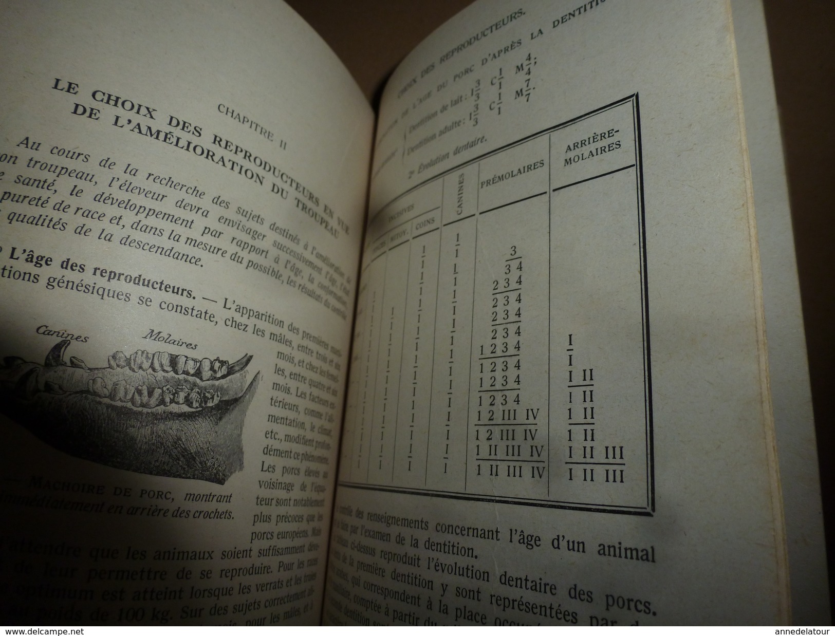 1937 Encyclopédie des Connaissances Agricoles ---> LE PORC (élevage- engraissement- reproduction) ...etc