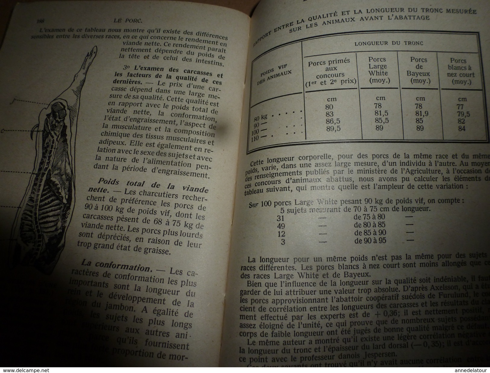 1937 Encyclopédie des Connaissances Agricoles ---> LE PORC (élevage- engraissement- reproduction) ...etc