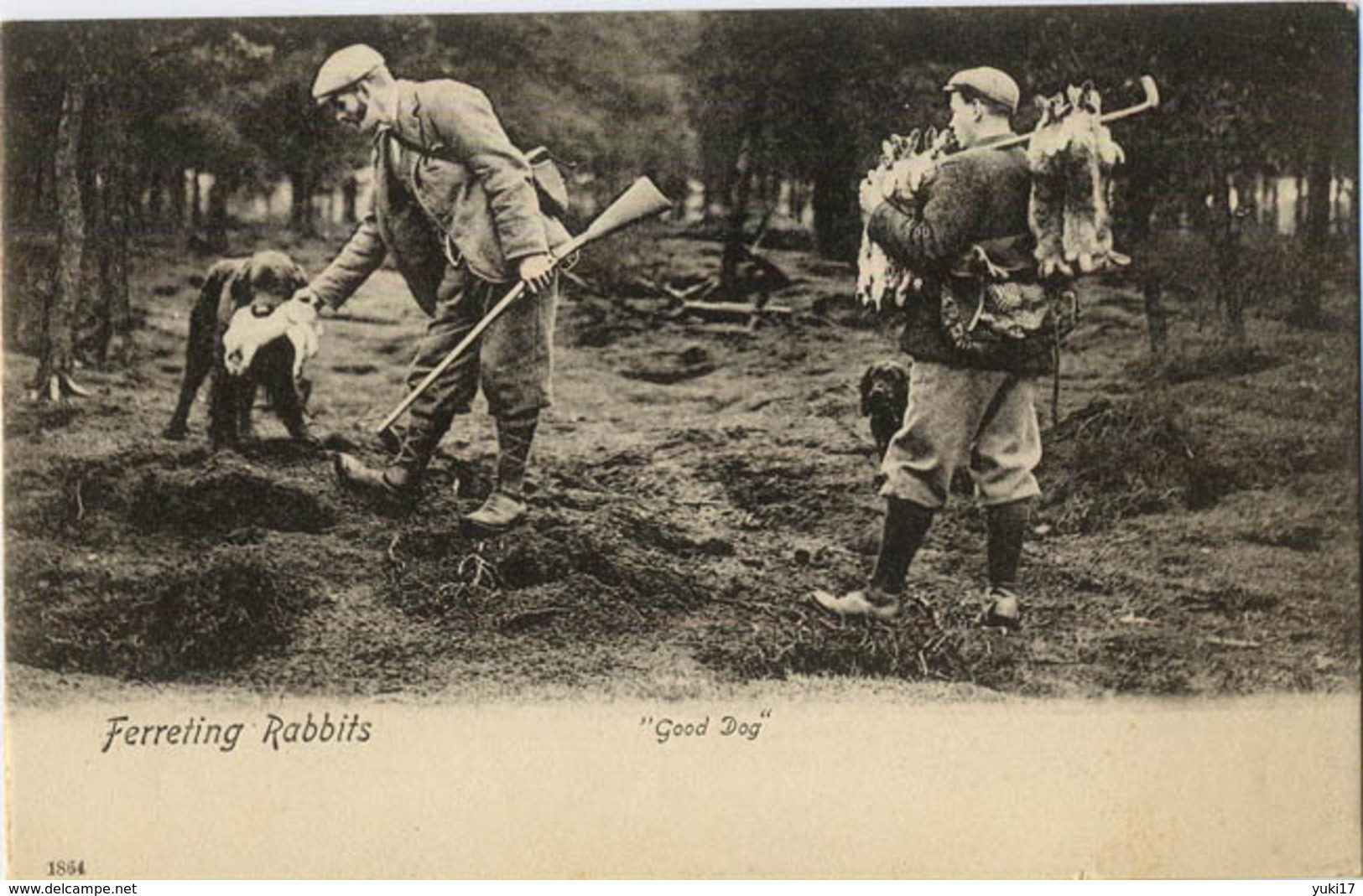 CHASSE FERRETING RABBITS GOOD DOG 1864 LAPIN - Chasse