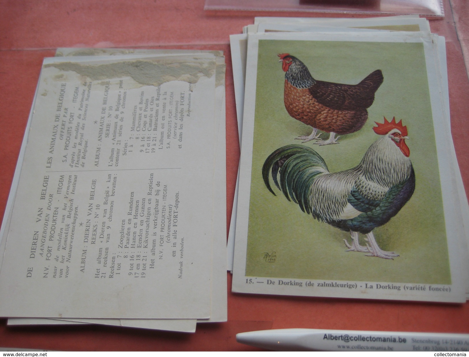 11 cards chromos 10cmX15cm  - advertsing around 1950, chicken cock, rooster, poultry, kip, most backs with glue remains