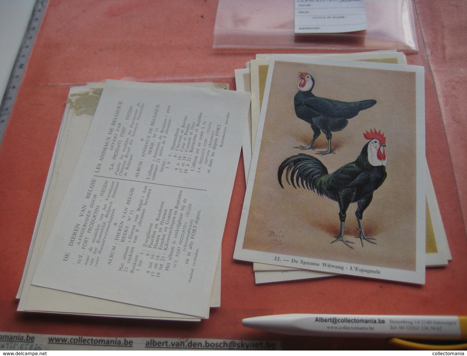 11 cards chromos 10cmX15cm  - advertsing around 1950, chicken cock, rooster, poultry, kip, most backs with glue remains