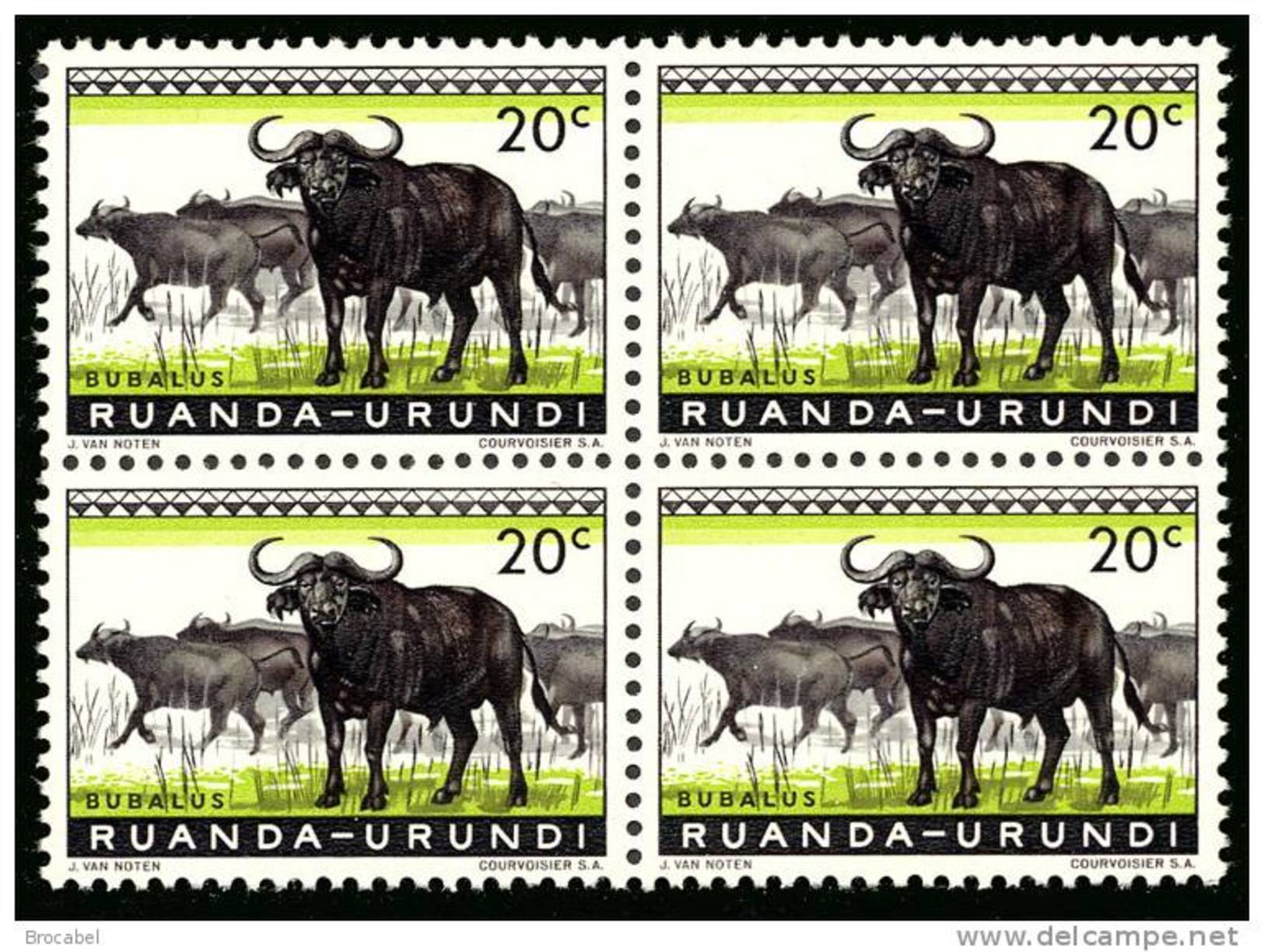 Ruanda 0206**x4 - 20c Buffles  MNH - Neufs