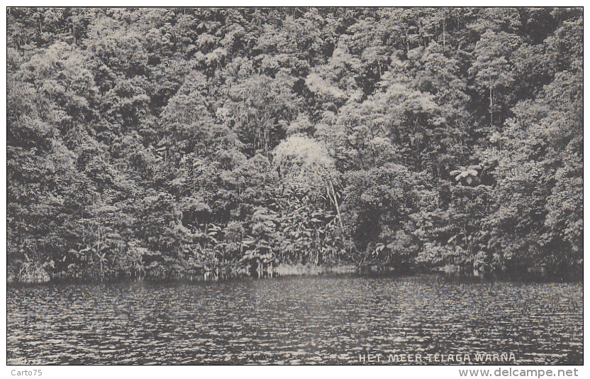 Indonésie - Indonesia - Het Meer Telaga Warna - Lake Telaga Warna - Indonésie