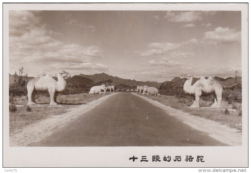 Chine - China - Road Avenue - Sculptured Animals - Camels Elephant - Photographie - Chine