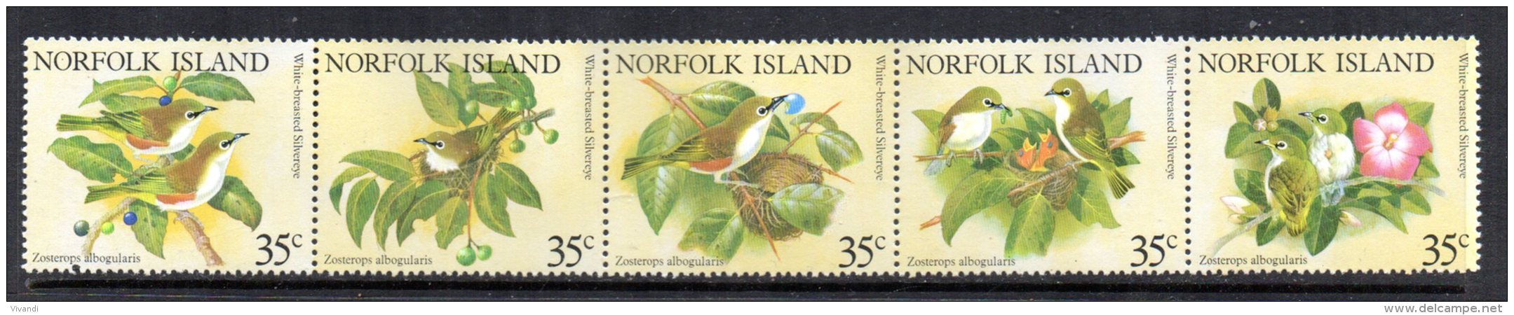 Norfolk Island - 1981 - White Chested White-Eye - MNH - Ile Norfolk