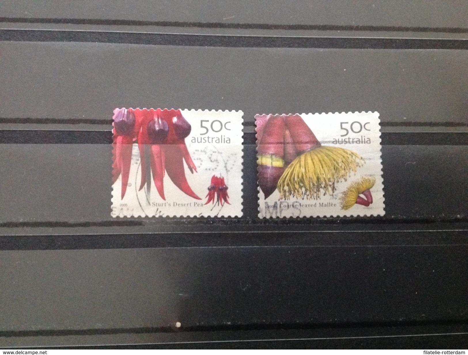 Australië / Australia - Serie Bloemen (50) 2005 - Used Stamps