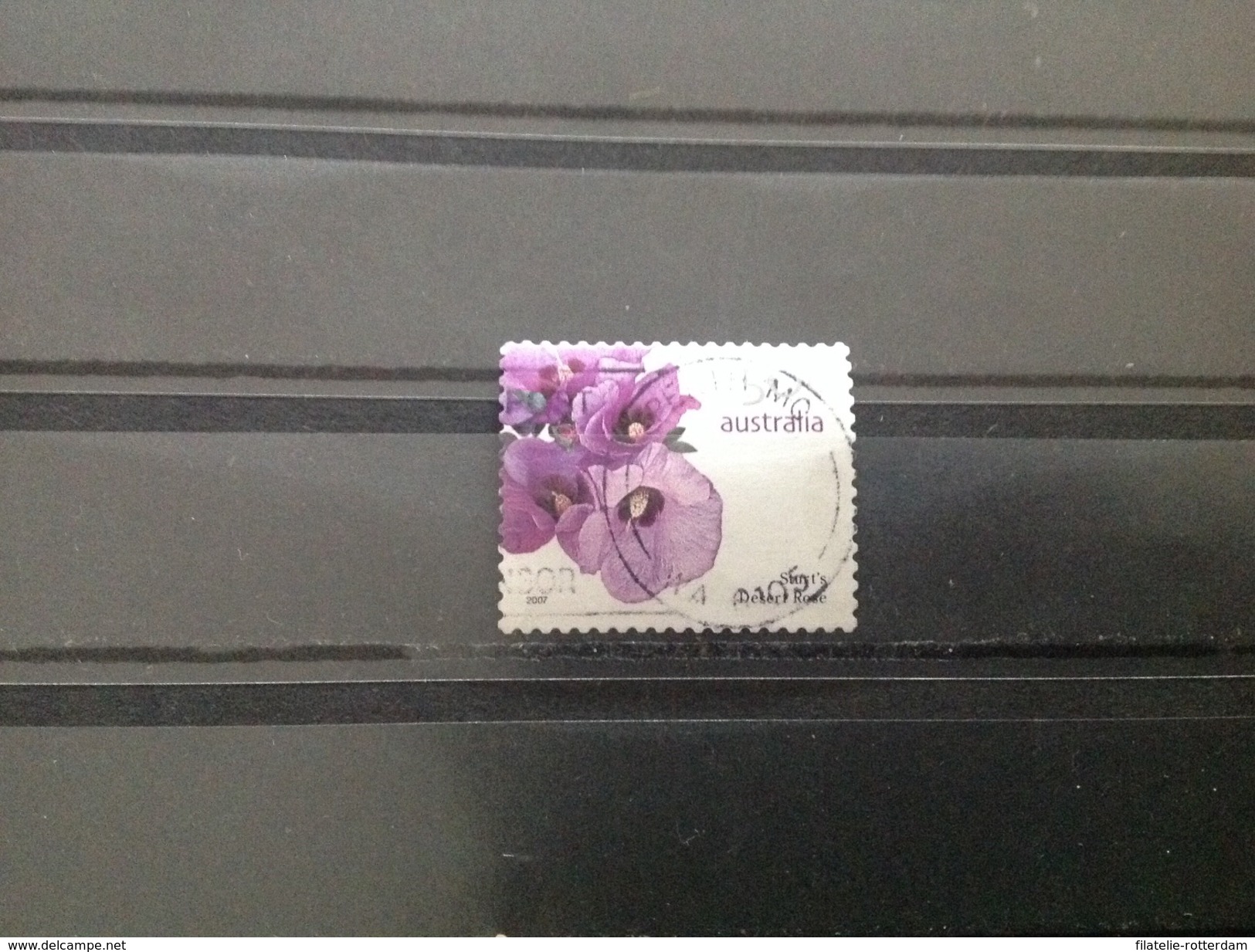 Australië / Australia - Bloemen (50) 2007 - Used Stamps