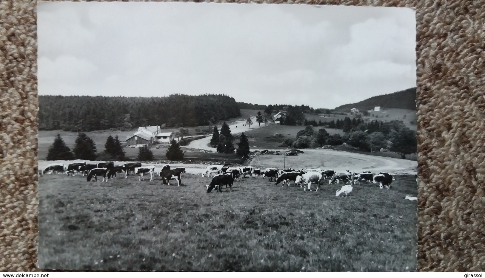 CPSM CHAMP DU FEU BAS RHIN HOTEL RESTAURANT HAZEMANN POSTE WALDERSBACH VACHES FERME MOREL ? - Autres & Non Classés