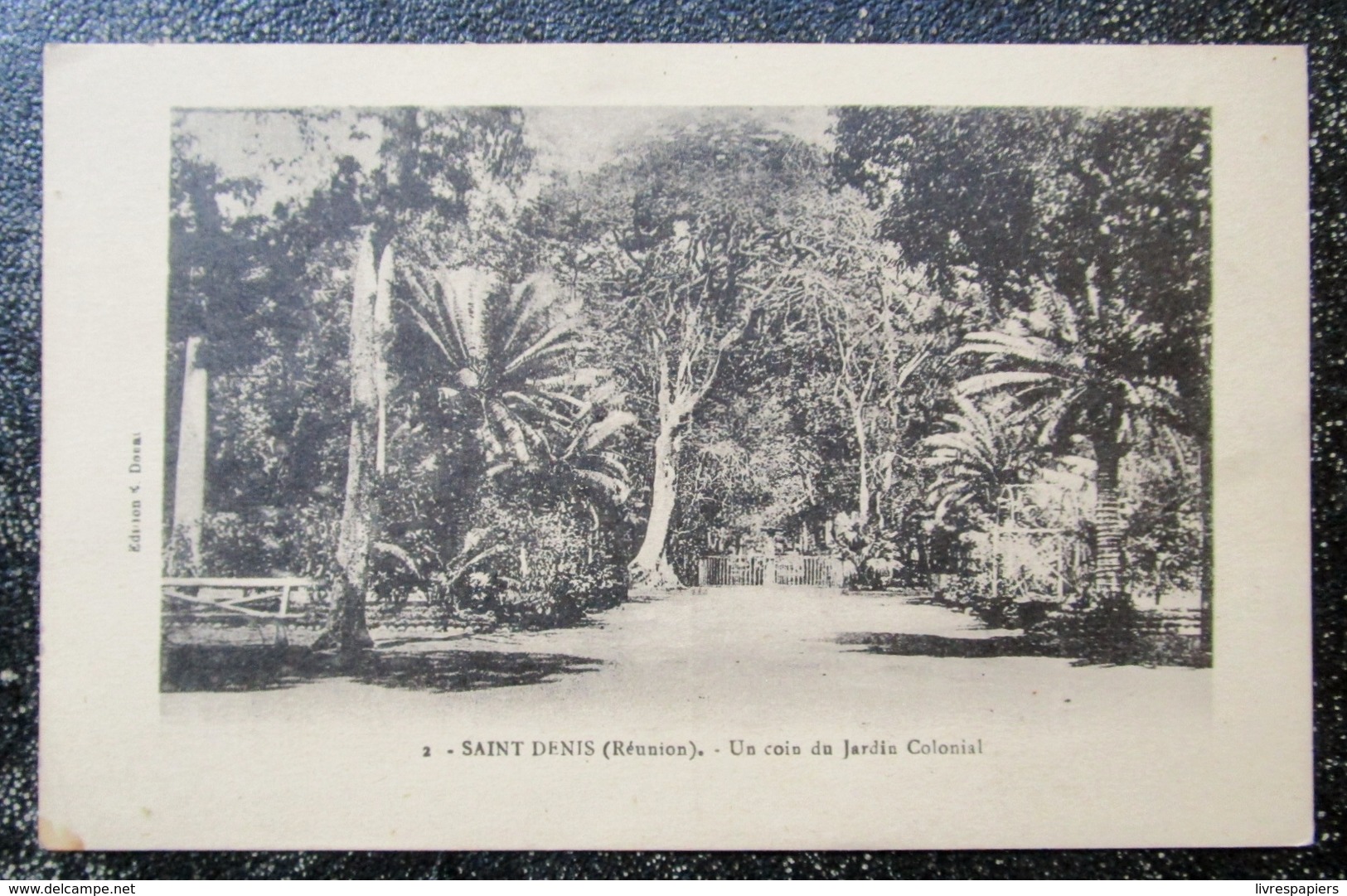 Ile Reunion Saint Denis Coin Jardin Colonial  Cpa Ile Reunion - Saint Denis