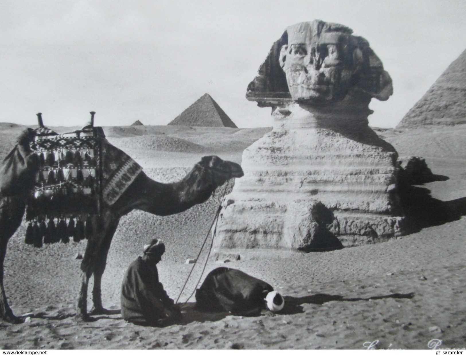 AK Echtfoto 1933 Ägypten Cairo Prayer Near The Great Sphinx. Kamel / Gebet. Gesendet Nach Hamburg - Caïro