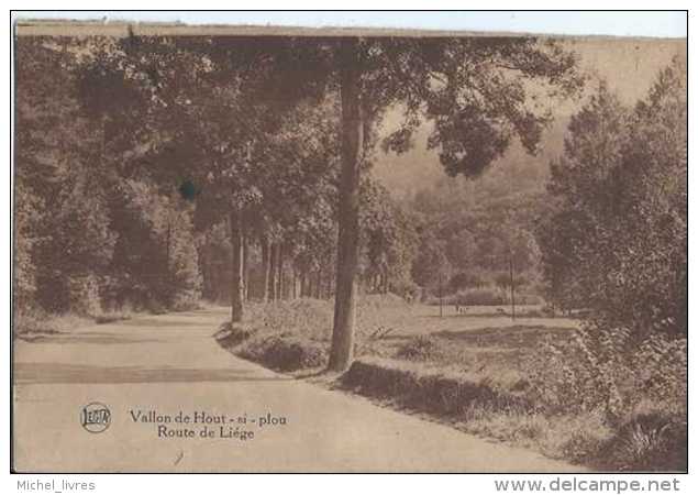 Neupré - Vallon De Hout-si-plou - Route De Liège - Circulé - TBE - Neupré