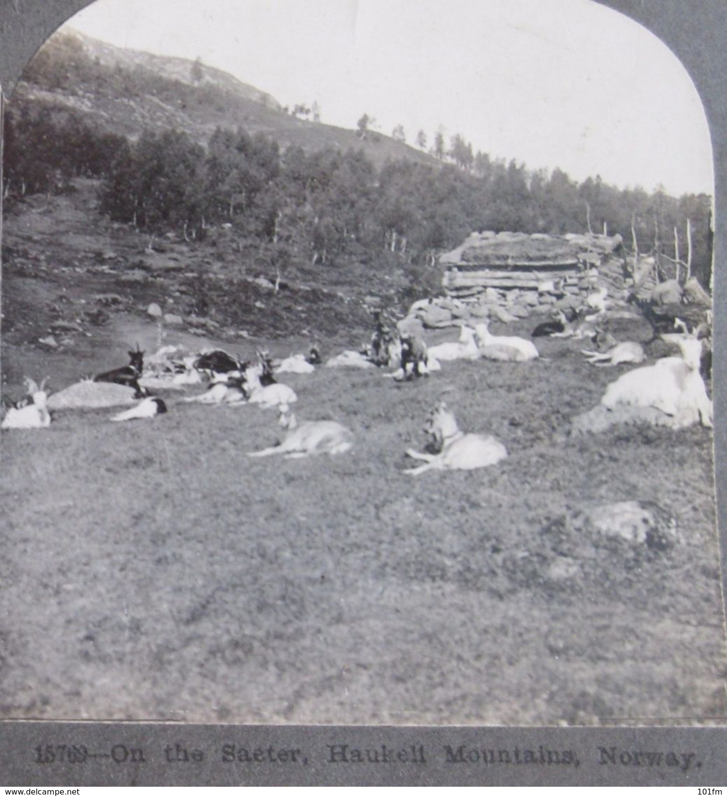 CARTE STEREOSCOPIQUE  - NORWAY - SAETRE TELEMARK,HAUKELL MAUNTAINS,  STEREO PHOTO - Stereoscope Cards