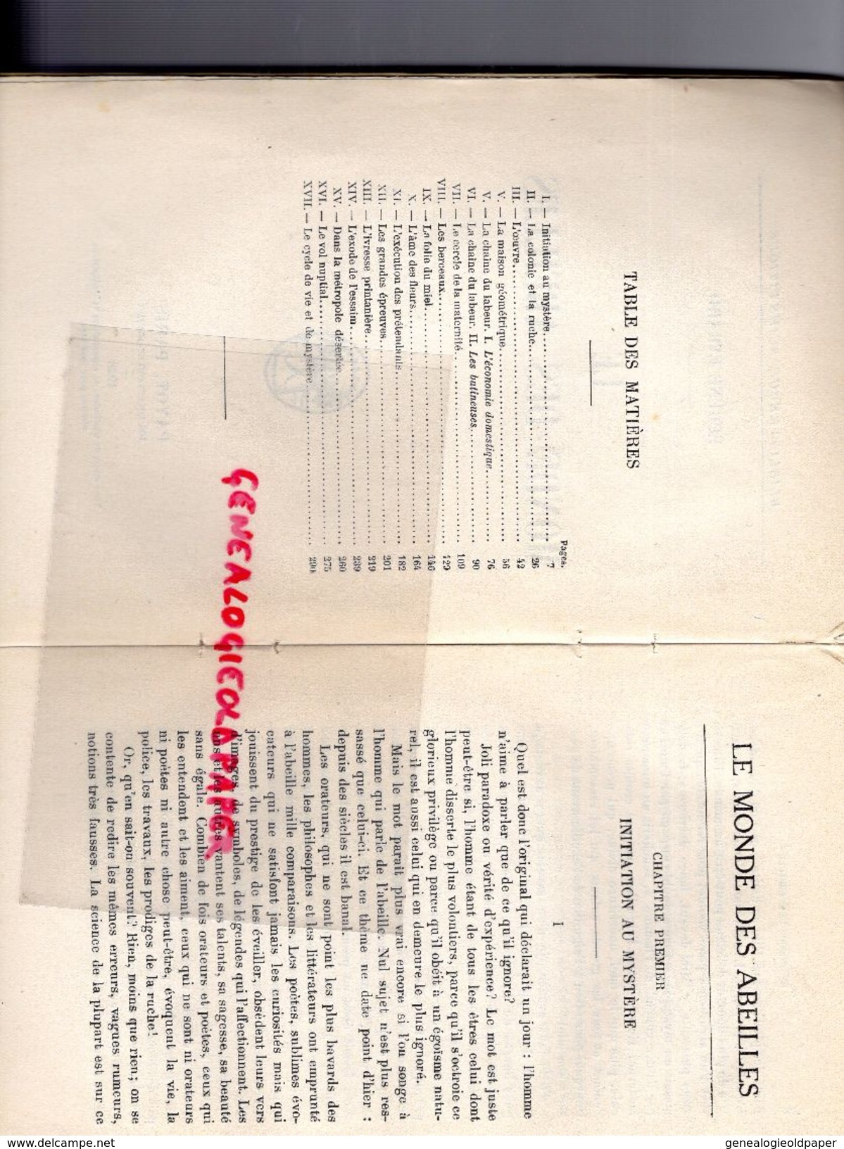 LE MONDE DES ABEILLES- EUGENE EVRARD-PAYOT PARIS 1928- COLONIE RUCHE-FOLIE DU MIEL-ESSAIM-VOL NUPTIAL-ABEILLE - Sciences