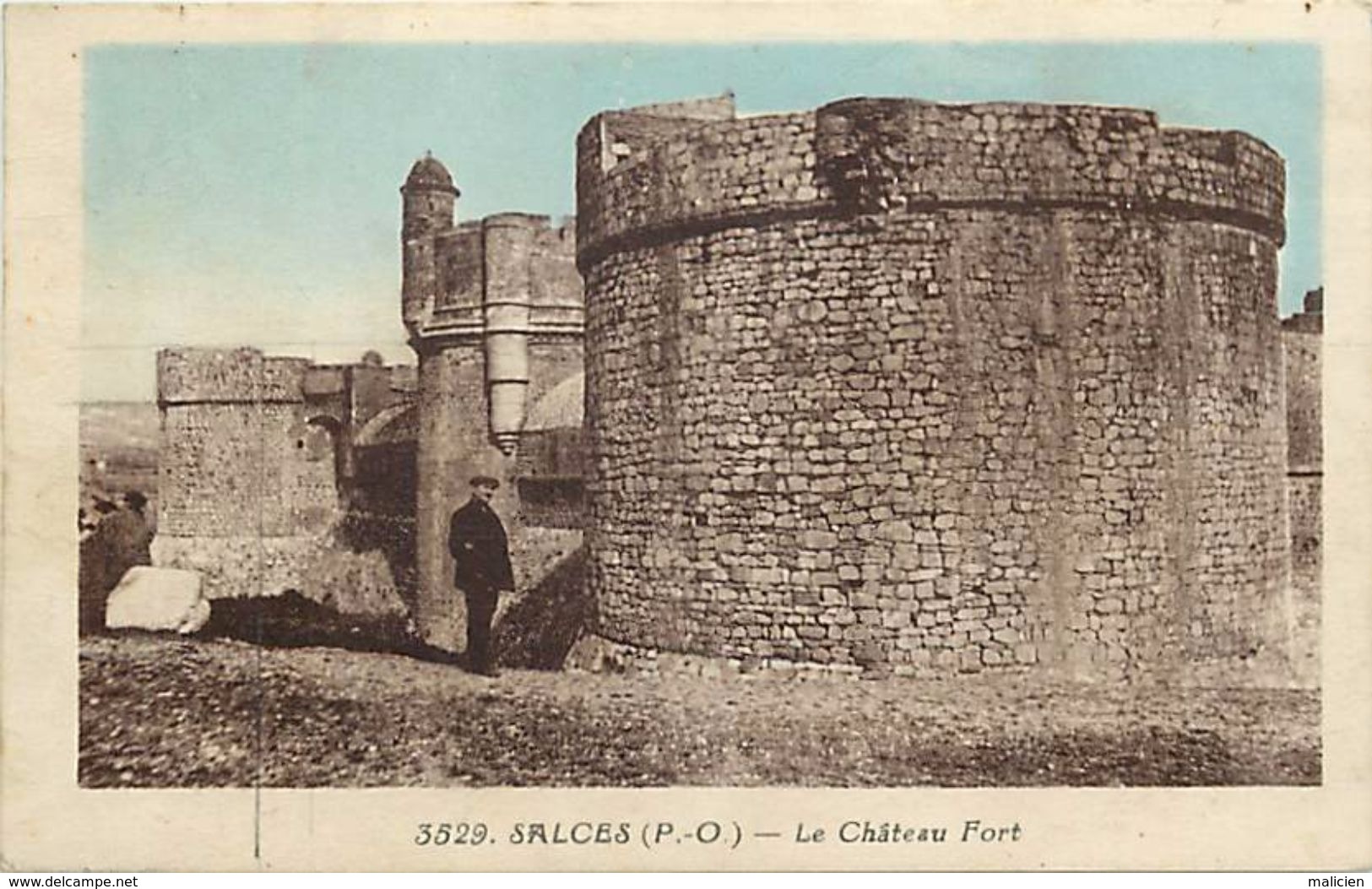 - Dpts Div.-ref -VV236- Pyrenees Orientales - Salses - Le Chateau Fort - Forts - Chateaux - Batiments Et Architecture - - Salses