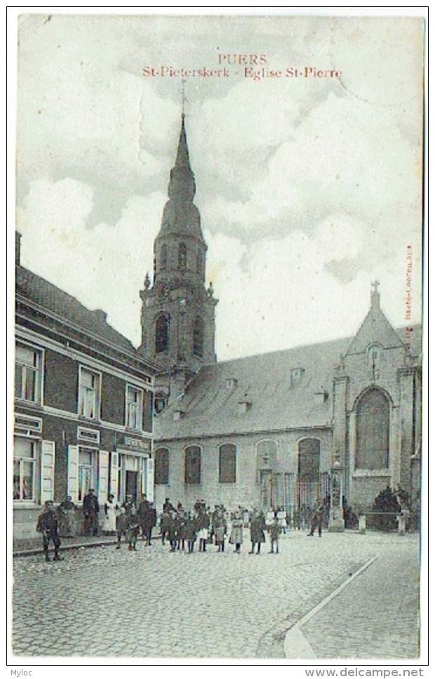 Puurs/Puers. St.Pieterskerk/Eglise St.Pierre - Puurs