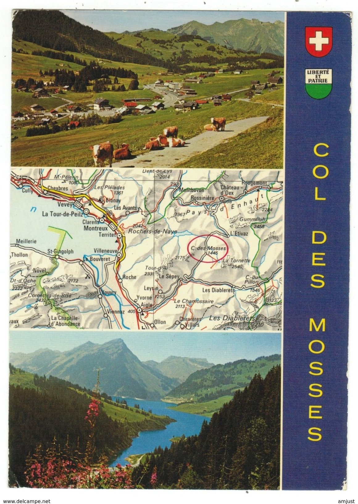 Suisse // Schweiz // Switzerland // Vaud // Col Des Mosses, Commune D'Ormont-Dessous - Ormont-Dessous