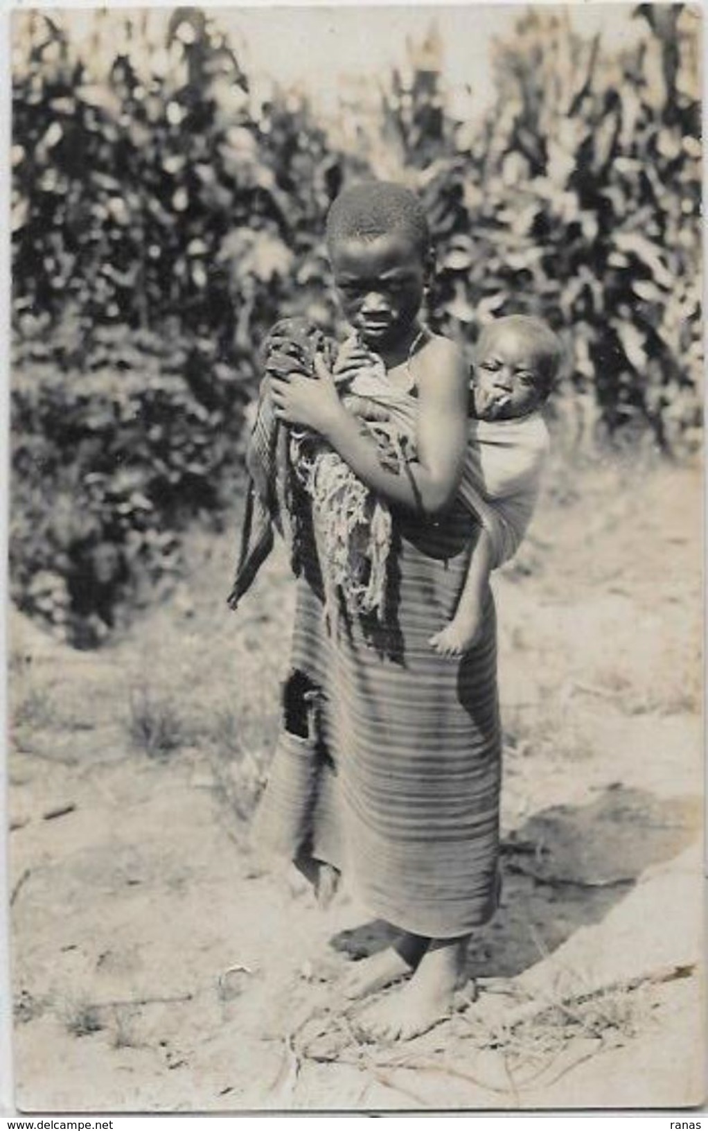 CPA Congo Belge Afrique Noire Carte Photo Non Circulé Type - Congo Belga