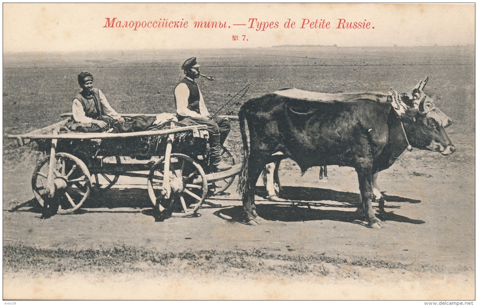 N72 - RUSSIE - Types De Petite Russie - N° 7 - Attelage De Boeufs - Russia