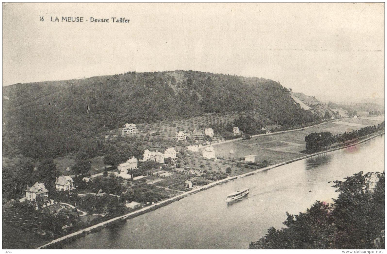 BELGIQUE - NAMUR - PROFONDEVILLE - TAILFER - La Meuse Devant Tailfer. (n°16). - Profondeville