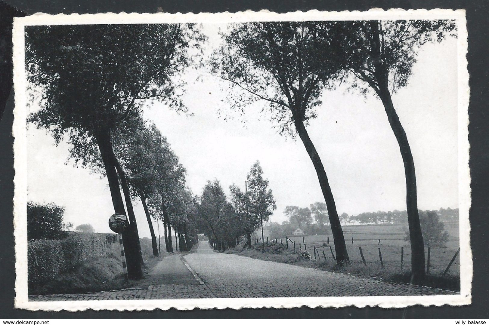 +++ CPA  - QUAREMONT - KWAREMONT - Grande Chaussée - Kwaremontse Berg - Nels Photothill    // - Kluisbergen