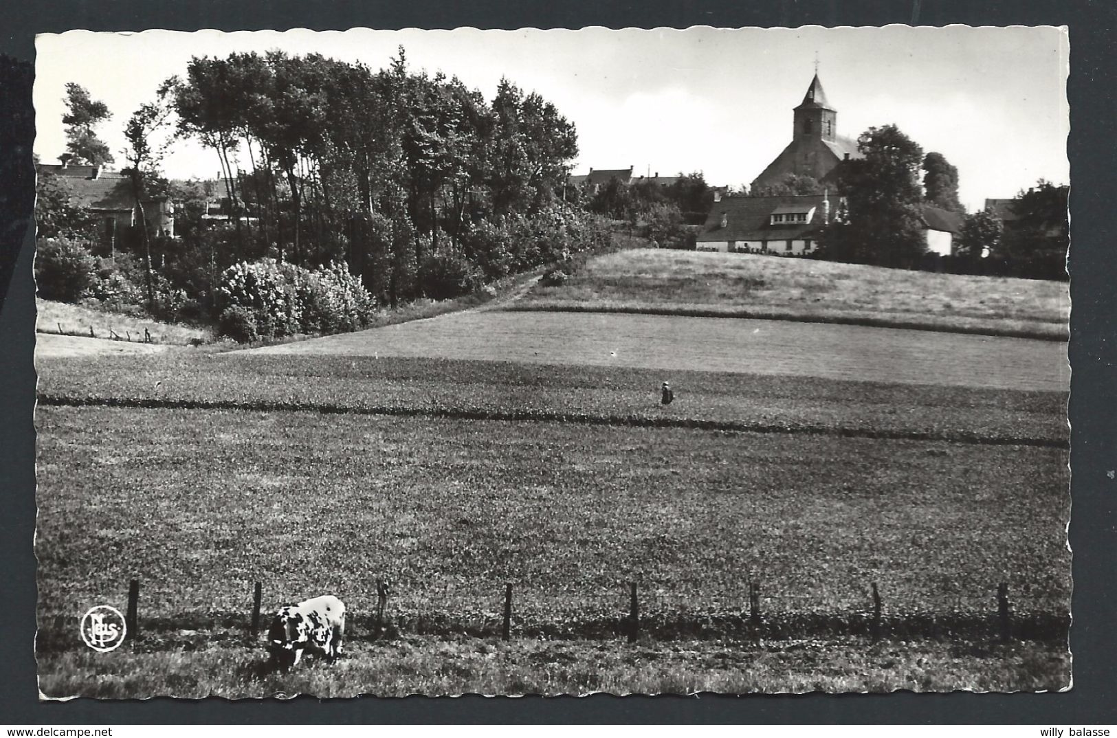 +++ CPA  - QUAREMONT - KWAREMONT - Vue Sur Le Village - Zicht Op Het Dorp - Nels Echte Foto     // - Kluisbergen