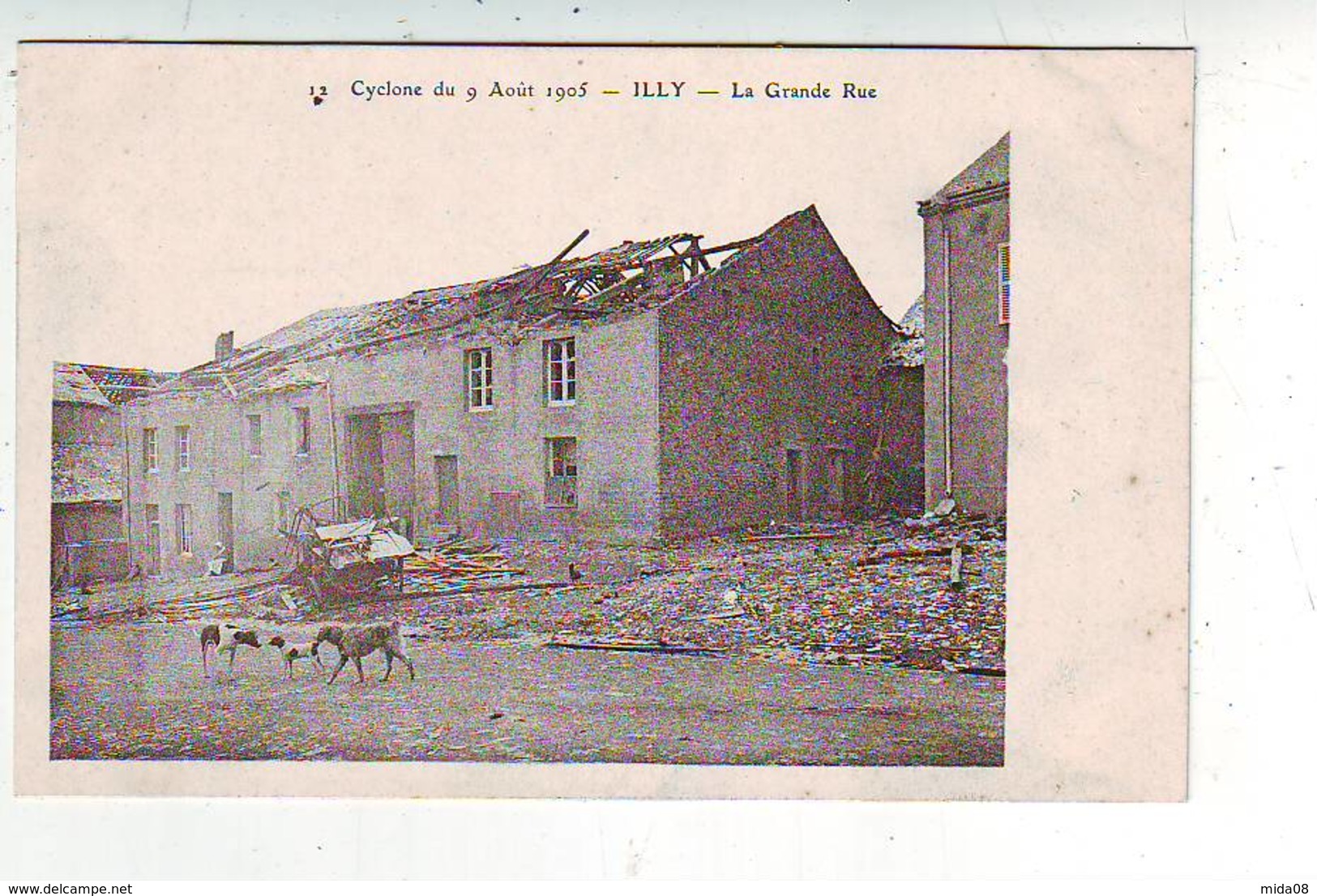 08. ILLY . CYCLONE DU 9 AOUT 1905 . LA GRANDE RUE . - Autres & Non Classés