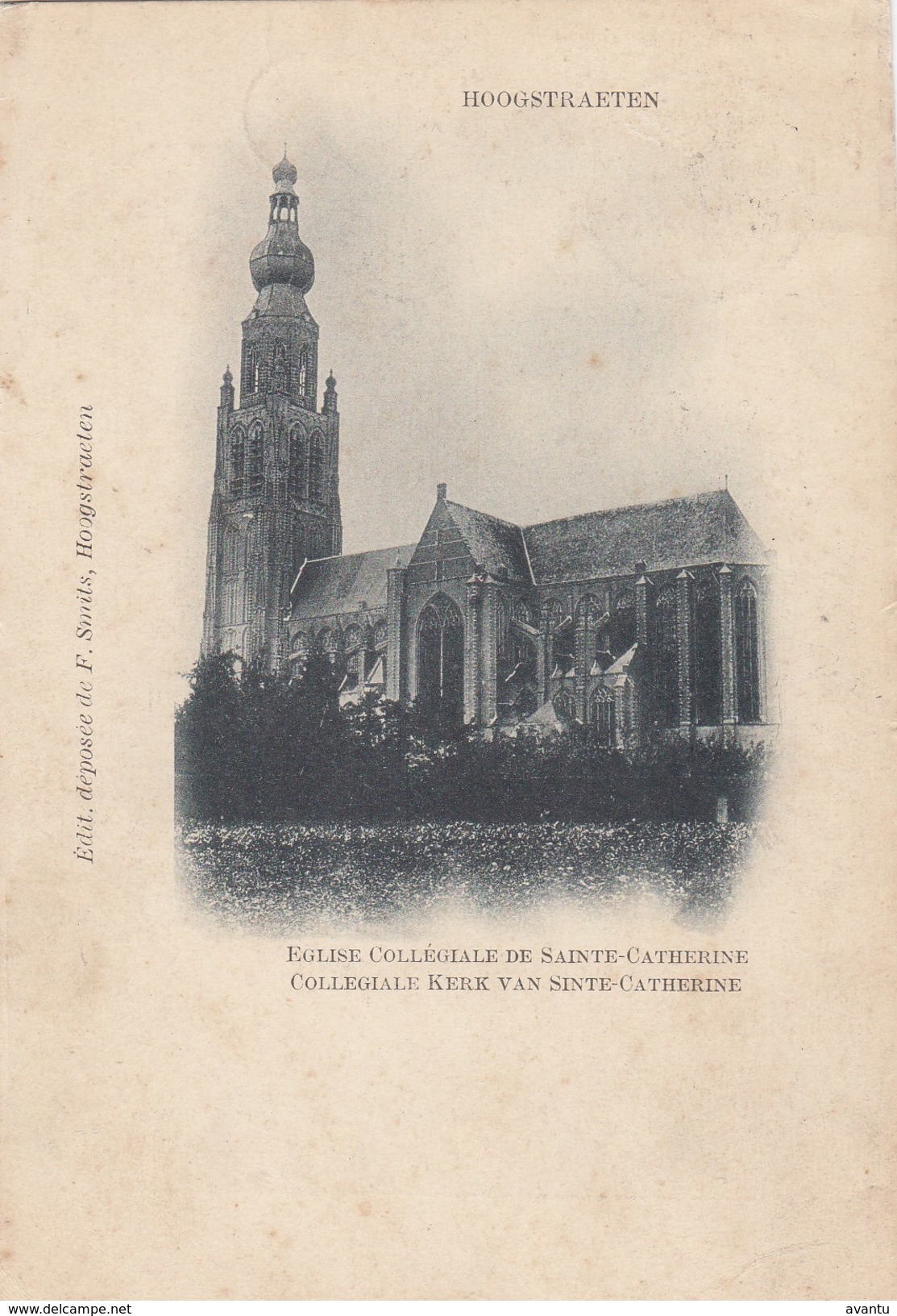 HOOGSTRATEN /  COLLEGIALE SINTE KATHERINA KERK - Hoogstraten