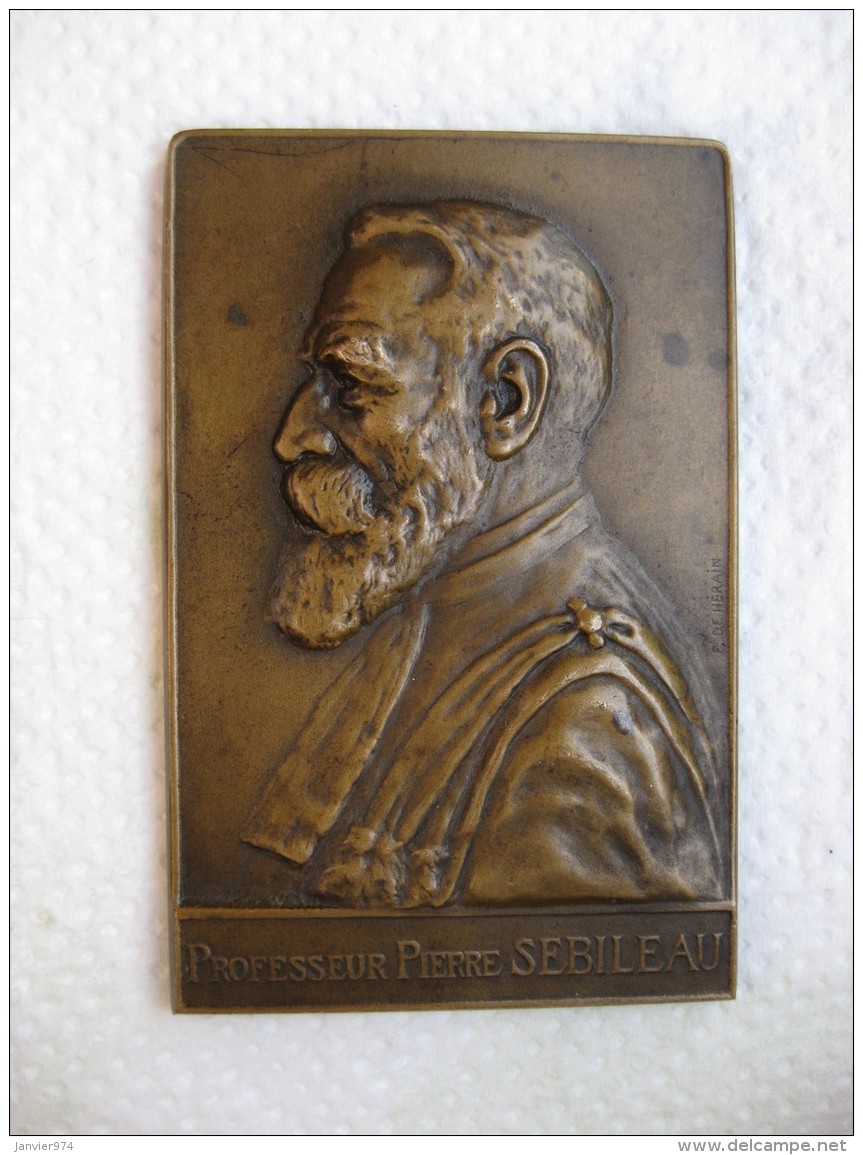 Médaille Professeur P. SEBILEAU  Oto-rhino-laryngologiste, Paris 1926 Par DE HERAIN - Autres & Non Classés