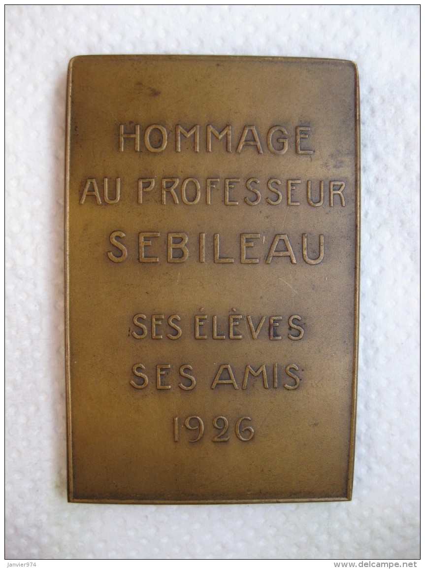 Médaille Professeur P. SEBILEAU  Oto-rhino-laryngologiste, Paris 1926 Par DE HERAIN - Autres & Non Classés