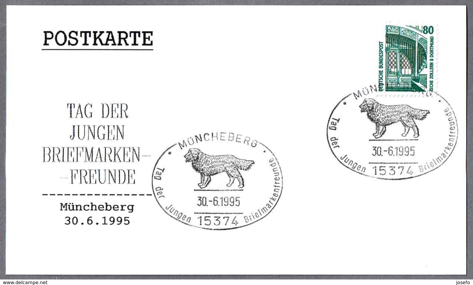 PERRO - DOG - CHIEN. Müncheberg 1995 - Perros
