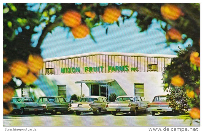 Florida Bradenton Mixon Fruit Farms 1967 - Bradenton