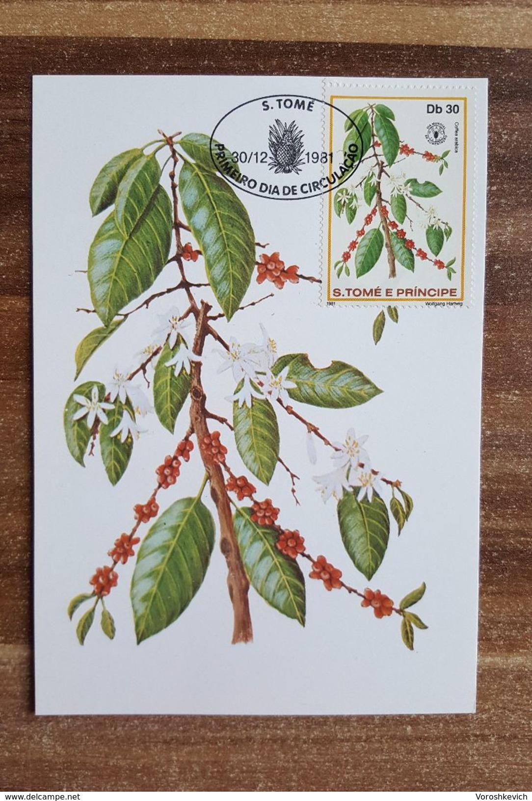 Sao Tome And Principe 1981. The Maximum Card. Plants. Exotic Fruits - Fruits