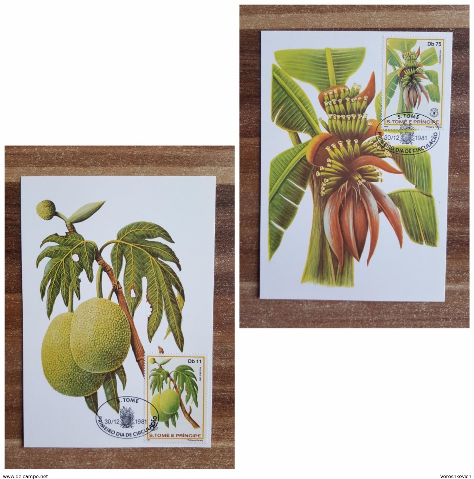 Sao Tome And Principe 1981. The Maximum Card. Plants. Exotic Fruits - Fruits