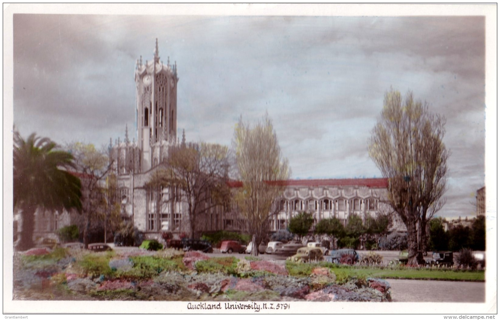 New Zealand - Auckland University 5791  - Blank Vintage PC, Message 1955 - New Zealand