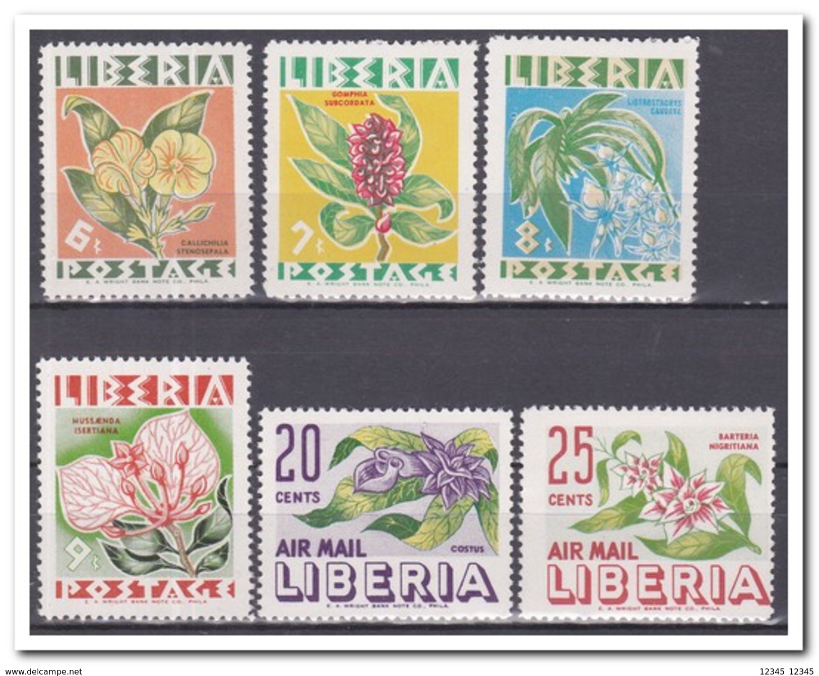 Libië 1955, Postfris MNH, Flowers, Plants - Liberia