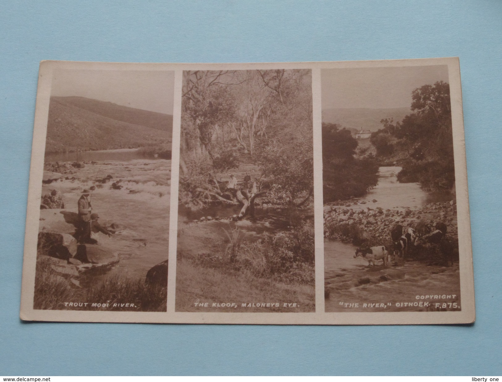 TROUT MOOI RIVER - THE KLOOF, MALONEYS EYE - " THE RIVER " OITHOEK ( F. 875 ) Anno 19?? ( Zie Foto Voor Details ) !! - Afrique Du Sud