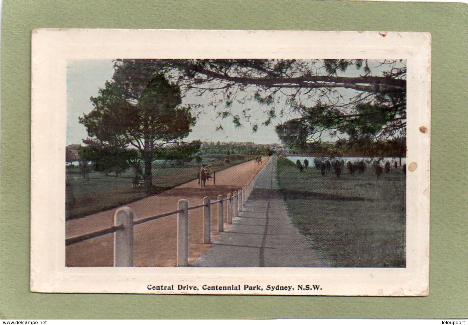 SYDNEY  CENTRAL DRIVE CENTENNIAL PARK - Sydney