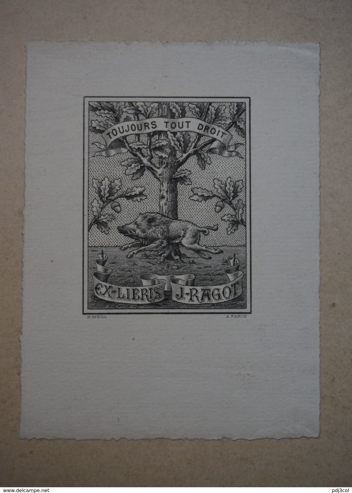 Ex-libris Français Illustré Début XXème - J. RAGOT (Sanglier) - Ex-libris